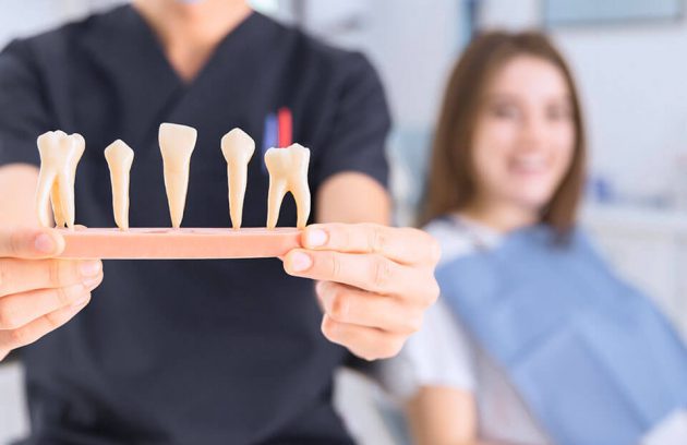 دکتر مرجان احمدی فوق تخصص طب مادر و جنین