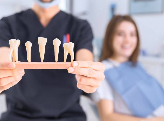 دکتر مرجان احمدی فوق تخصص طب مادر و جنین