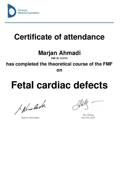 گواهی نامه FMF